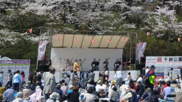 千秋公園　桜まつり　イベント
