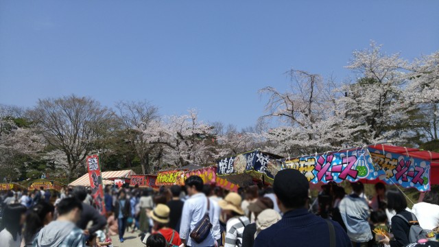 千秋公園　桜まつり　出店